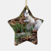 Ornement En Céramique Écureuil blanc de Brevard (Droite)