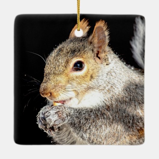 Ornement En Céramique Écureuil mangeant une noix (Dos)