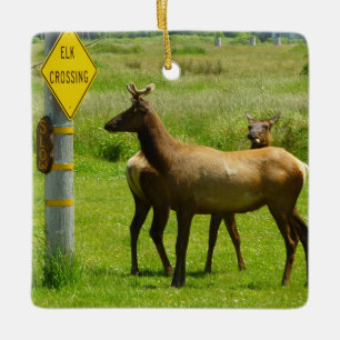 Ornement En Céramique Elk Crossing California Wildlife