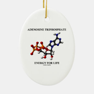 Ornement En Céramique Énergie (ATP) d'adénosine triphosphate pendant l