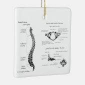 Ornement En Céramique Épine (Droite)