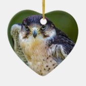 Ornement En Céramique Faucon pérégrin (Devant)