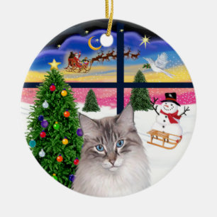Ornement En Céramique Fenêtre de Noël - chat Ragdoll