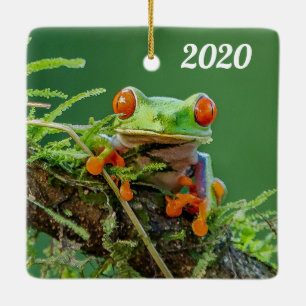 Ornement En Céramique Fermer une grenouille d'arbre rouge sur une branch