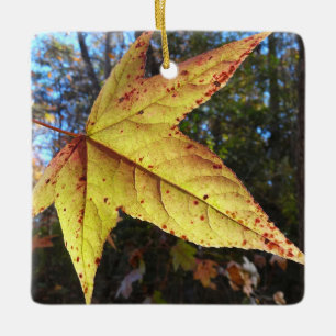Ornement En Céramique Feuille de Liquidambar Glowing dans la Forêt