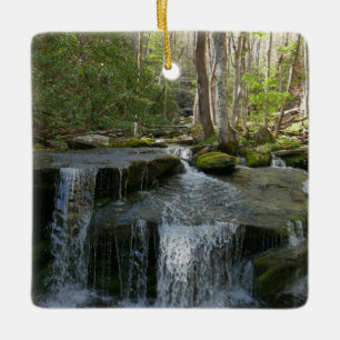 Ornement En Céramique Findlay Falls I