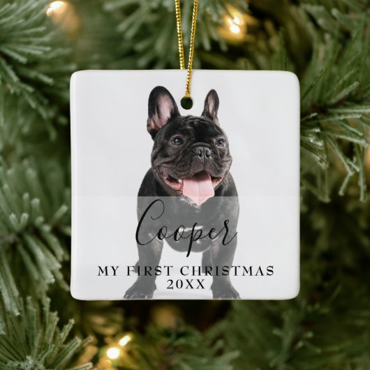 Ornement En Céramique First Christmas Pet 2 Photo Script Name (Arbre)