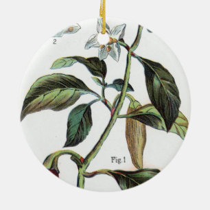 Ornement En Céramique fleur de poivre cayenne