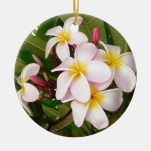 Ornement En Céramique Fleurs d'Aloha Hawaïen Frangipani Plumerias