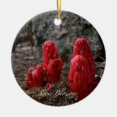 Ornement En Céramique Fleurs de neige (Devant)