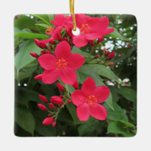 Ornement En Céramique Fleurs rouges de Jatropha