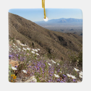 Ornement En Céramique Fleurs sauvages au Parc national de Saguaro I