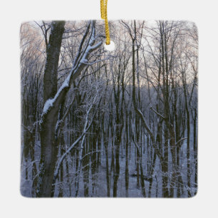 Ornement En Céramique Forêt d'arbres neigeux