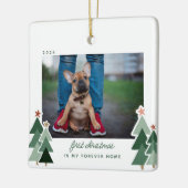 Ornement En Céramique Forever Accueil Premier Noël Animaux Secourus Phot (Gauche)
