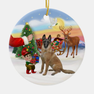 Ornement En Céramique Friandise - Malinois belge