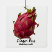 Ornement En Céramique Fruit dragon (Dos)