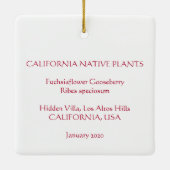 Ornement En Céramique Fuchsia (Dos)