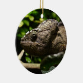 Ornement En Céramique Furcifer oustaleti (Droite)