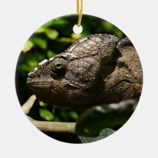 Ornement En Céramique Furcifer oustaleti (Devant)