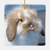 Ornement En Céramique Fuzzy Holland Mini Dwarf Lop Bunny Rabbit (Dos)