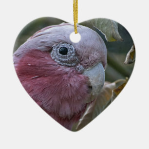 Ornement En Céramique Galah ou Cacatoès à胸 rose
