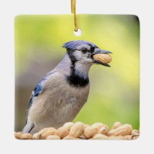 Ornement En Céramique Geai bleu avec une cacahuète