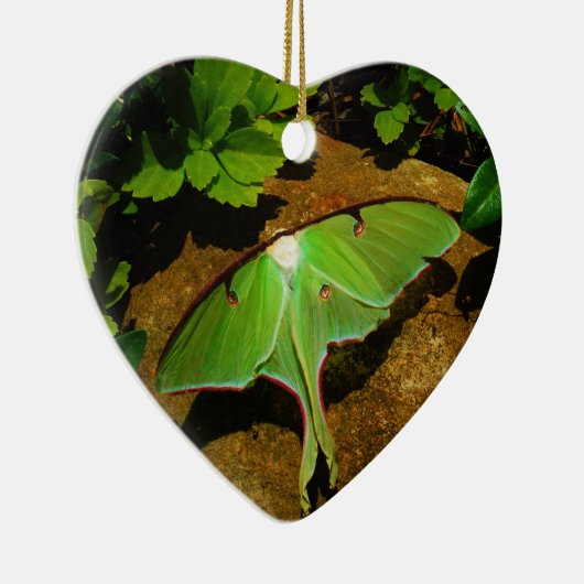 Ornement En Céramique Giant Green Luna moth (Droite)