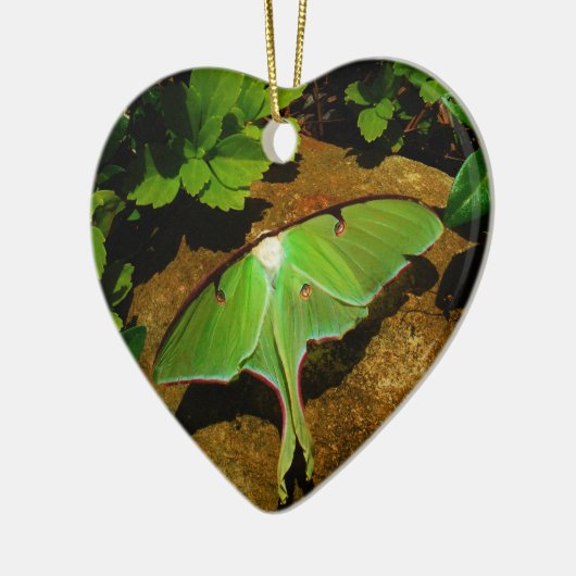 Ornement En Céramique Giant Green Luna moth (Gauche)