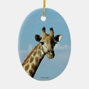 Ornement En Céramique Giraffe