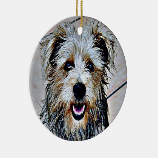 Ornement En Céramique Glen d'Imaal Terrier (Droite)