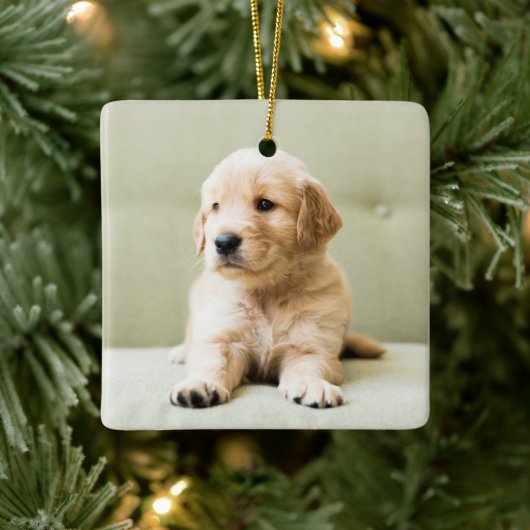 Ornement En Céramique Golden Retriever Puppy (Arbre)