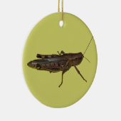 Ornement En Céramique Grasshopper Design (Droite)