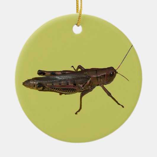 Ornement En Céramique Grasshopper Design (Devant)