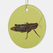Ornement En Céramique Grasshopper Design (Gauche)