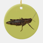 Ornement En Céramique Grasshopper Design (Dos)