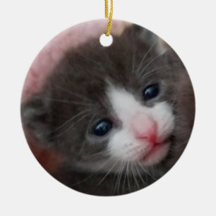 Ornement En Céramique Gris et blanc d'ornement de chaton de bébé