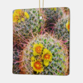 Ornement En Céramique Gros cactus baril, Californie (Gauche)