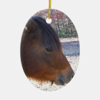 Ornement En Céramique Gros plan sur le cheval Brown, Little Brown Pony