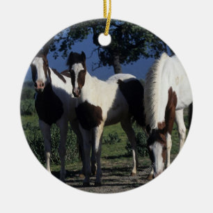 Ornement En Céramique Groupe de chevaux de peinture