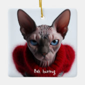 Ornement En Céramique Grumpy Sphynx Chat Noël (Devant)