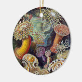 Ornement En Céramique Haeckel Sea Anemone Ocean Life Nature Art Peinture (Gauche)