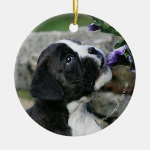 Ornement En Céramique Halètement de chien de boxeur