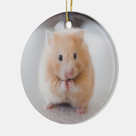 Ornement En Céramique Hamster mignon (Gauche)