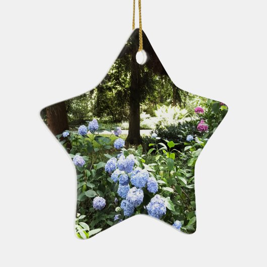 Ornement En Céramique Hydrangea Floral Trees Nature Photographie (Droite)