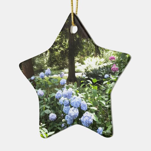 Ornement En Céramique Hydrangea Floral Trees Nature Photographie (Gauche)