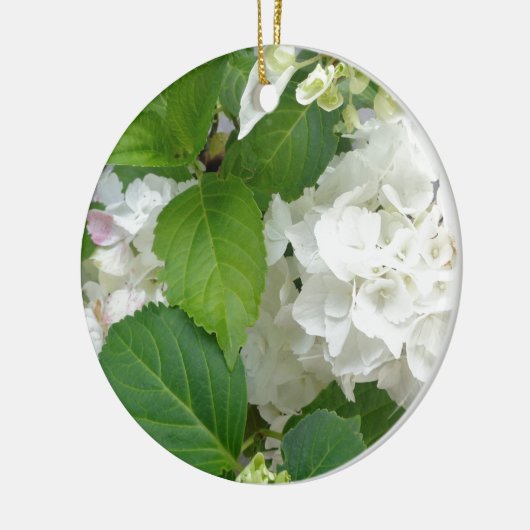 Ornement En Céramique Hydrangea Flower Green White Nature Jardin Plantes (Gauche)