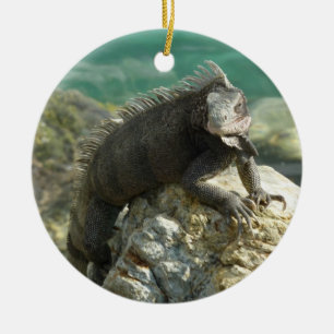 Ornement En Céramique Iguana sur les rochers à St. Thomas