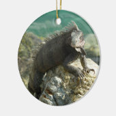 Ornement En Céramique Iguana sur les rochers à St. Thomas (Gauche)