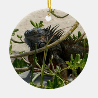 Ornement En Céramique Iguane