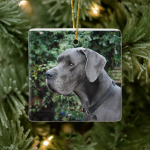 Ornement En Céramique Images de Dogue Allemand